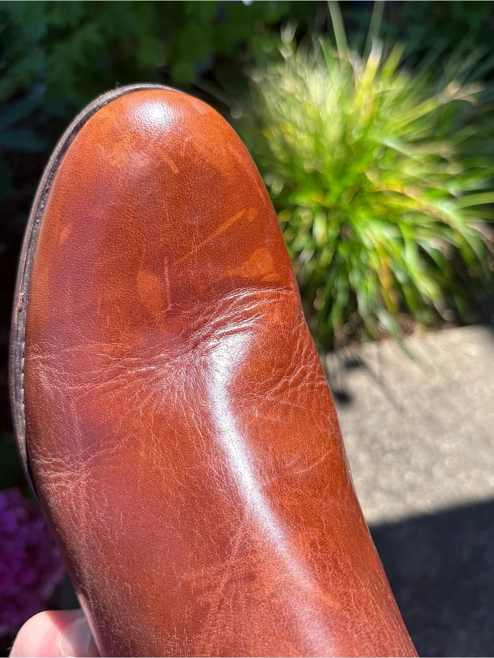 Frye size 11